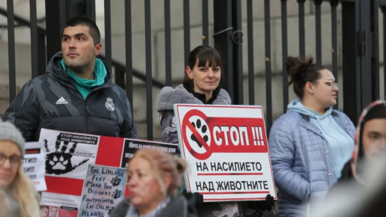 Граждани протестират в София срещу насилието над животни