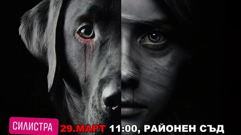 Национален протест Силистра, "Подкрепи, не игнорирай! Днес е животно, утре човек!"