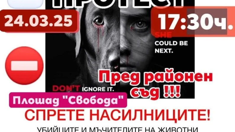 Протест в Силистра срещу насилието над животни